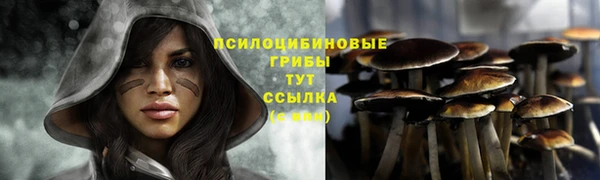 мяу мяу мука Абинск