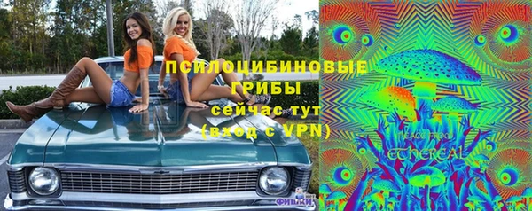 apvp Алзамай